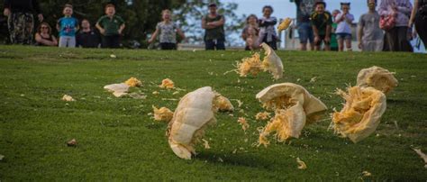 The Great Pumpkin Carnival Hamilton New Zealand