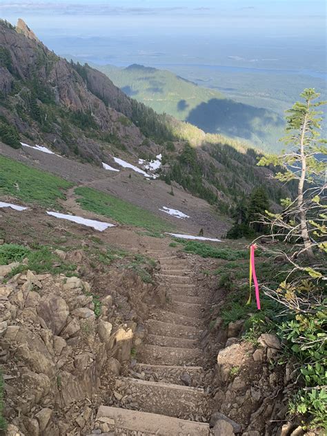 Mount Ellinor — Washington Trails Association