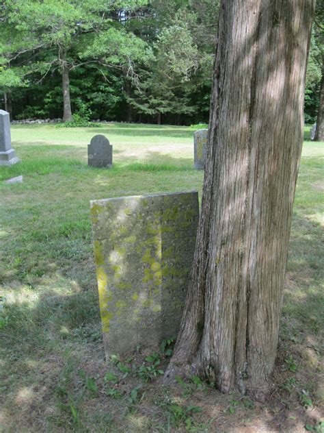 Fern Hill Cemetery West In New England