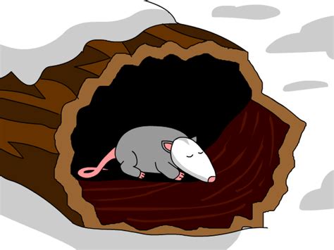 Hibernating Clipart 20 Free Cliparts Download Images On