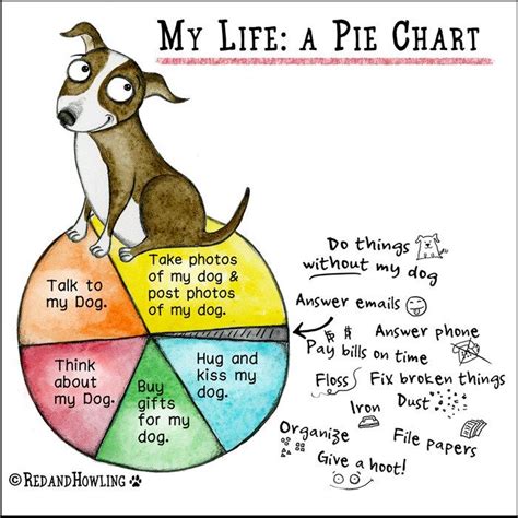 A Dog Sitting On Top Of A Pie Chart With The Wordsmy Life A Pie