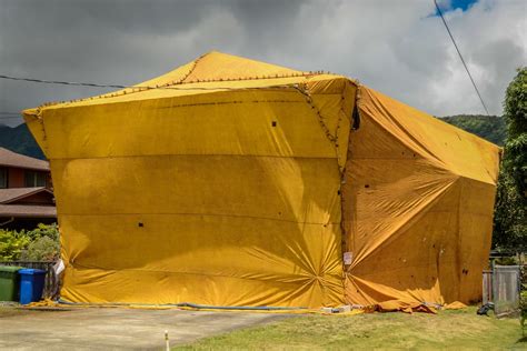 What Is Tenting For Termites Pest Wisdom