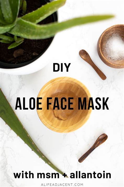 Diy Aloe Vera Face Mask For Glowing Skin A Life Adjacent