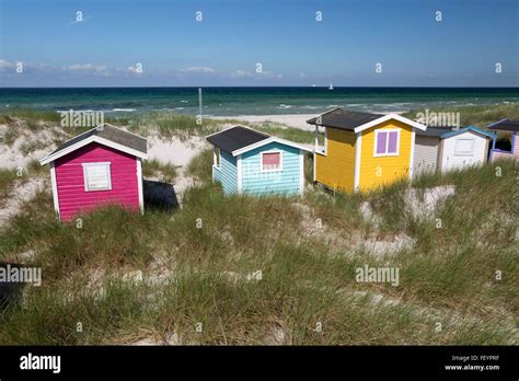 Colourful beach huts in sand dunes Skanör Falsterbo Falsterbo Peninsula Skåne Scania South