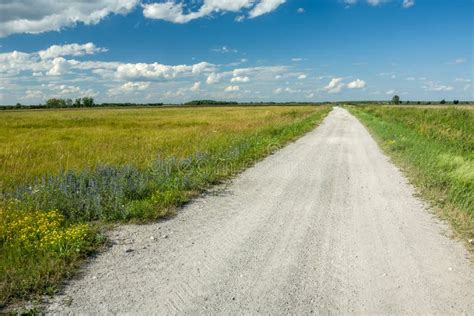 Gravel Road Through Wild Meadows Horizon And Clouds On A Blue Sky