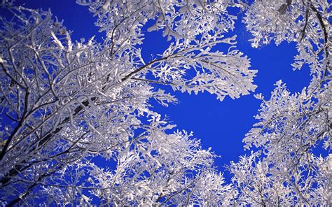 Landscapes Nature Winter Snow Frost Blue Skies Desktop Hd Wallpaper ...