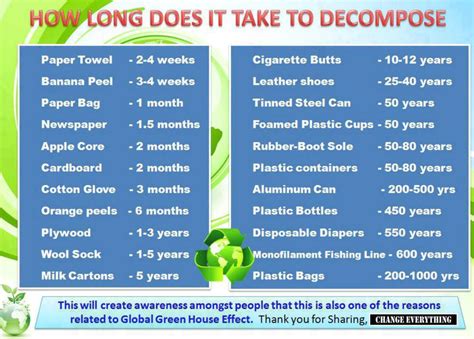 How Long Does It Take To Decompose Burntoringe
