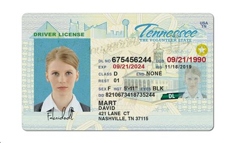 Tennessee Fake Driver License Buy Fake Id And Driver License Online