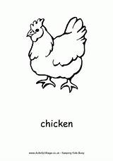 Chicken Colouring Coloring Pages Chickens Activityvillage Printable Color Cliparts Chick Farm Kids Visit Library Clipart Drawing sketch template