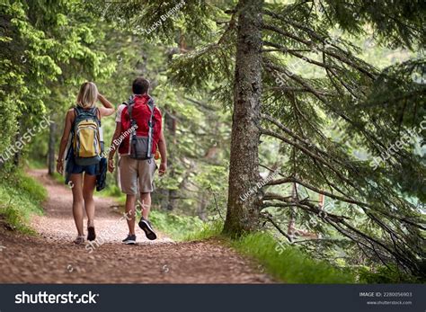 186,239 Relaxing Walk Forest Images, Stock Photos & Vectors | Shutterstock