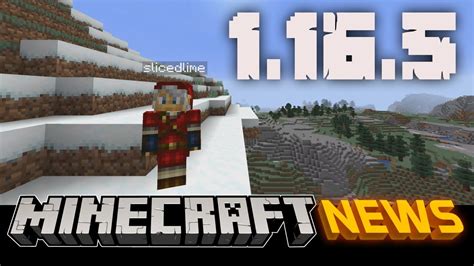 Minecraft Java Edition 1165 Update All The Changes