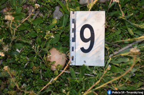 Több tucat mérgezett tojásra bukkantak Nyárasdnál | Paraméter