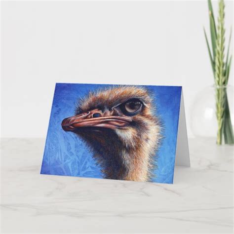 Ostrich Cards Zazzle Uk