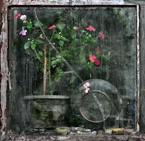 Drizzled Window Photograph By Joe Bonita Fine Art America
