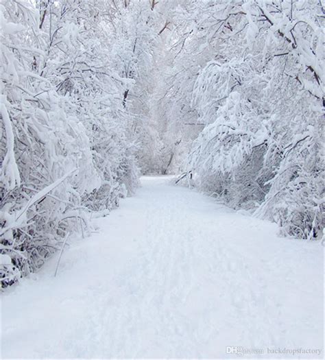 2019 8x10ft Winter Snow Photography Backdrops White Road