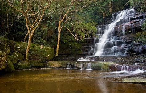 Somersby Falls Brisbane Waters National Park Central Coast Nsw