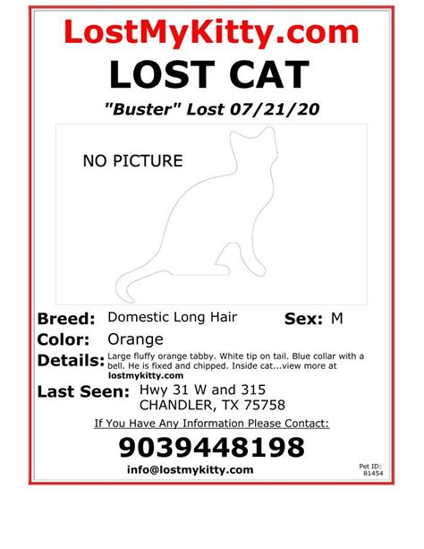 Pets Fur People 👀 Buster Is Lost 🐱 Please Help This