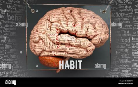 Habit Anatomy Its Causes And Effects Projected On A Human Brain