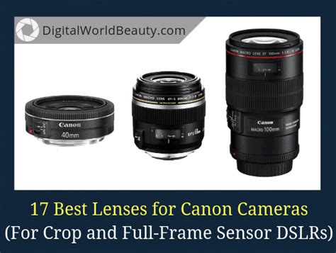 17 Best Lenses For Canon In 2021 Aps C And Full Frame Dslrs