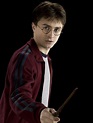 Harry Potter | Harry Potter Wiki | FANDOM powered by Wikia