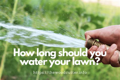 Depending on the type of seed you have spread, it may take anywhere from 5 to 30 days until you begin to see watering new grass seed correctly is crucial to the germination, growth of the seedlings, and root creation during the entire life of your lawn. How Often Should I Water My Lawn? | The Wood Cutter