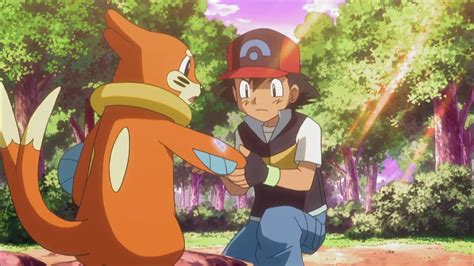 Top 172 Anime Toon Hindi Pokemon Season 13