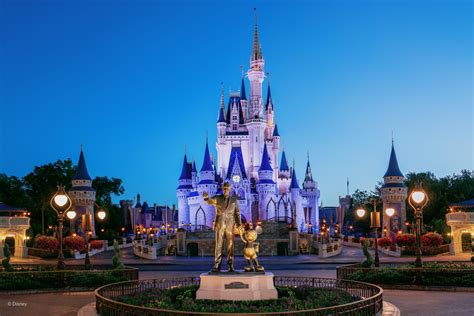Walt Disney World Kingdom And Cruise Travel
