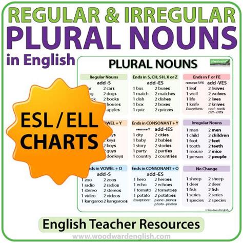Plural Nouns Charts Regular And Irregular Nouns In English Woodward