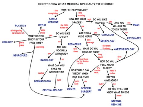 The Worlds Most Sophisticated Algorithm For Choosing A Med Speciality