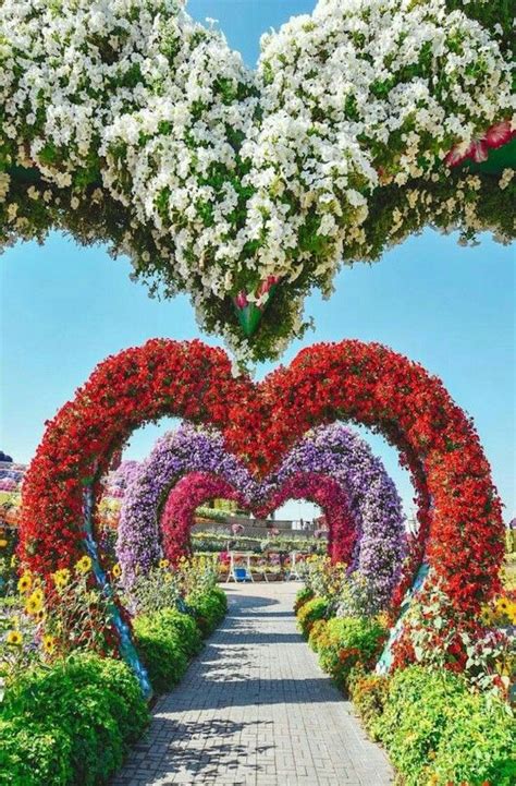 pin by mihir roy on beautiful picture miracle garden flower garden big flowers