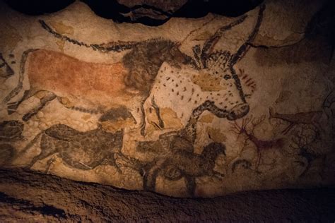 Montignac & The Lascaux Cave Paintings | Cave paintings france, Lascaux cave paintings, Cave 
