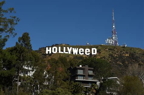 Iconic Hollywood Sign Vandalized to Read 'Hollyweed' | Teen Vogue