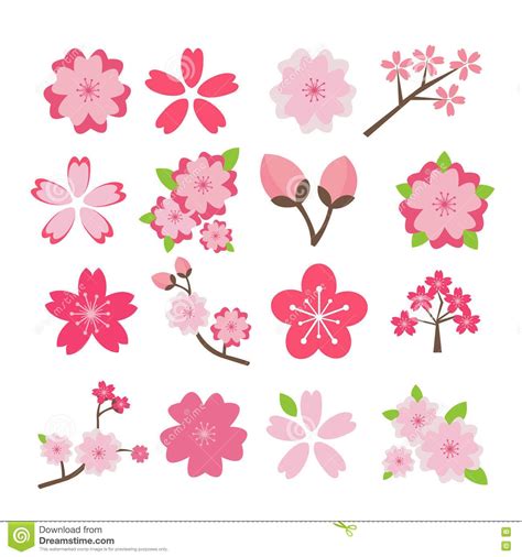 Download Cherry Blossom Icon Set Stock Vector Illustration Of Vector 77395867 Cherry