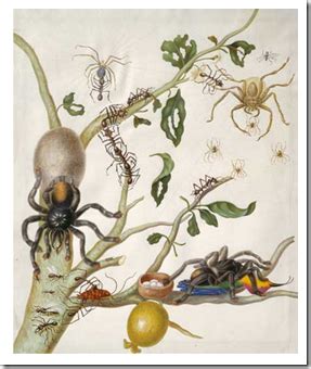 「マリア ジビーラ メーリアン」の生誕336周年を記念したイモムシや蝶などのイラストがGoogleロゴに