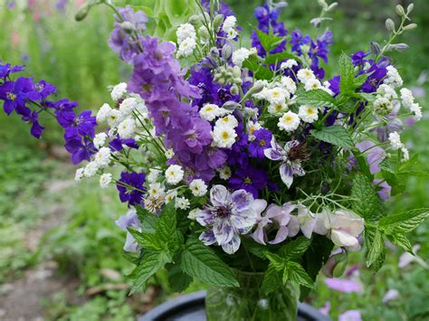 Purple Larkspur Cut Flower Arrangement Cut Flower Garden