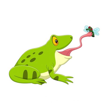 Premium Vector Cartoon Frog Catching A Fly