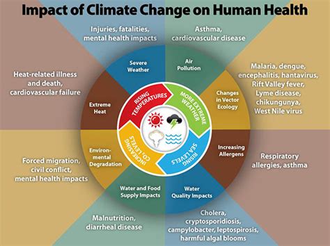 Impact Of Climate Change On Human Health Us Climate Resilience Toolkit