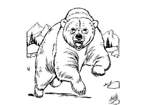 cartoon bear coloring pages cartoon coloring pages
