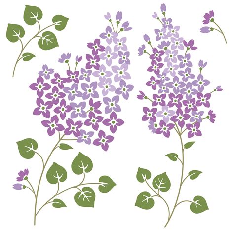 Lilac Flowers With Leaves Set 833735 Vector Art At Vecteezy