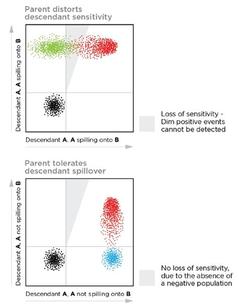 Seven Tips For Achieving The Perfect Panel For Multicolor Flow Cytometry