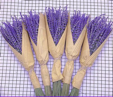 100 Stems Dried Lavender Flowers Natural Dried Flowers Etsy