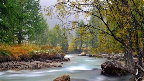 Download Wallpaper 1920x1080 River Mountain Trees Stream Current