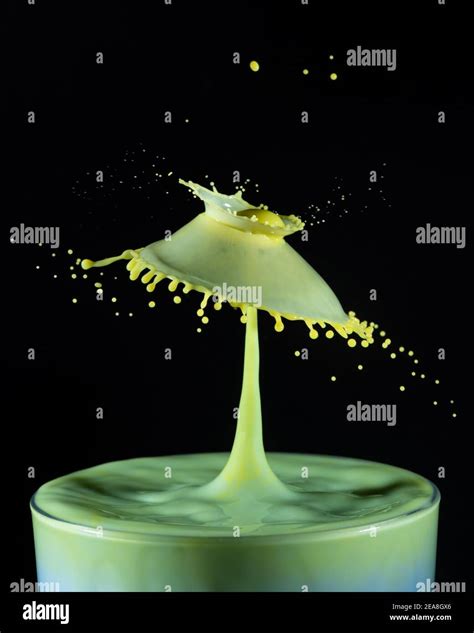 High Speed Shot Of Milk Drops Colliding And Creating A Splash In Yellow