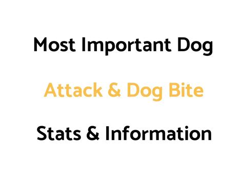 Most Important Dog Attack And Dog Bite Stats And Information To Know By