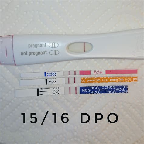 1516 Dpo Today And Frer Finally Showed Some Sign Of A Second Line