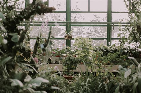 Greenhouse Wallpapers Top Free Greenhouse Backgrounds Wallpaperaccess