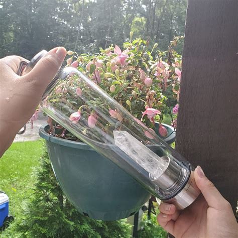 Crystal Infused Water Bottle Amethyst Rose Quartz Clear Quartz