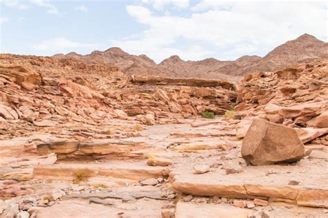 Premium Photo Colored Canyon With Red Rocks Egypt Desert The Sinai