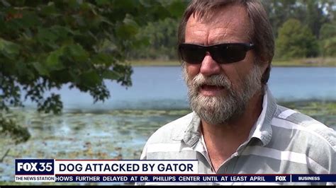 85 year old woman killed by alligator full video viewer