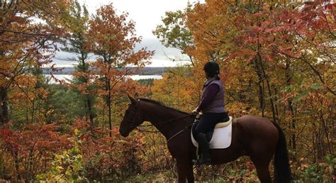 Beautiful Fall Horseback Riding At Horsecountrycampground The Trails